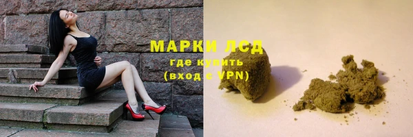 прущие грибы Новодвинск
