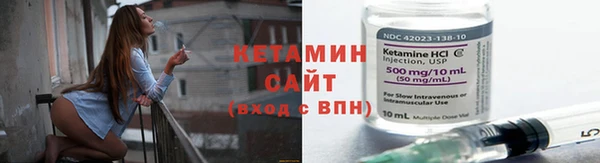 прущие грибы Новодвинск