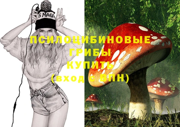 бошки Новозыбков