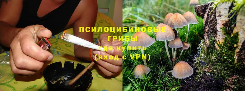 Галлюциногенные грибы Psilocybe  закладка  Нягань 