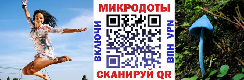 МЕГА как войти  Нягань  Псилоцибиновые грибы мухоморы  как найти закладки 